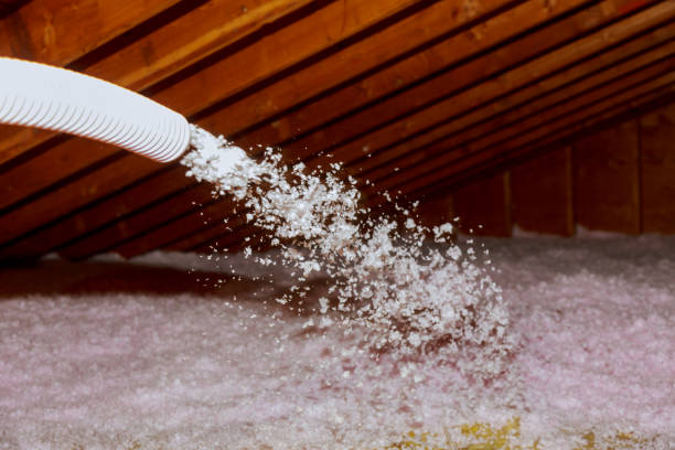 Best Eco-Friendly Insulation in Harlem, GA