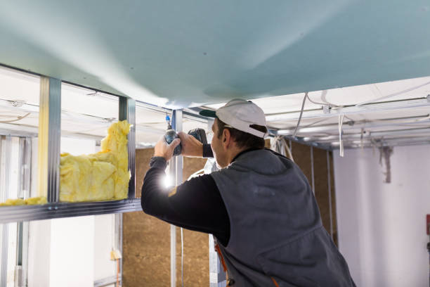 Best Spray Foam Insulation in Harlem, GA