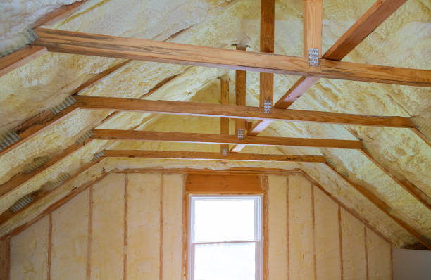 Best Cellulose Insulation in Harlem, GA